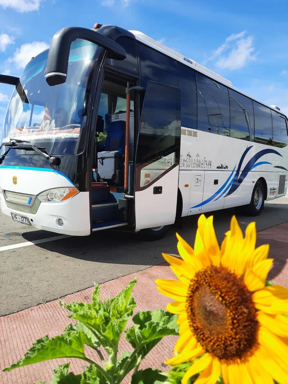 Coaches & Buses