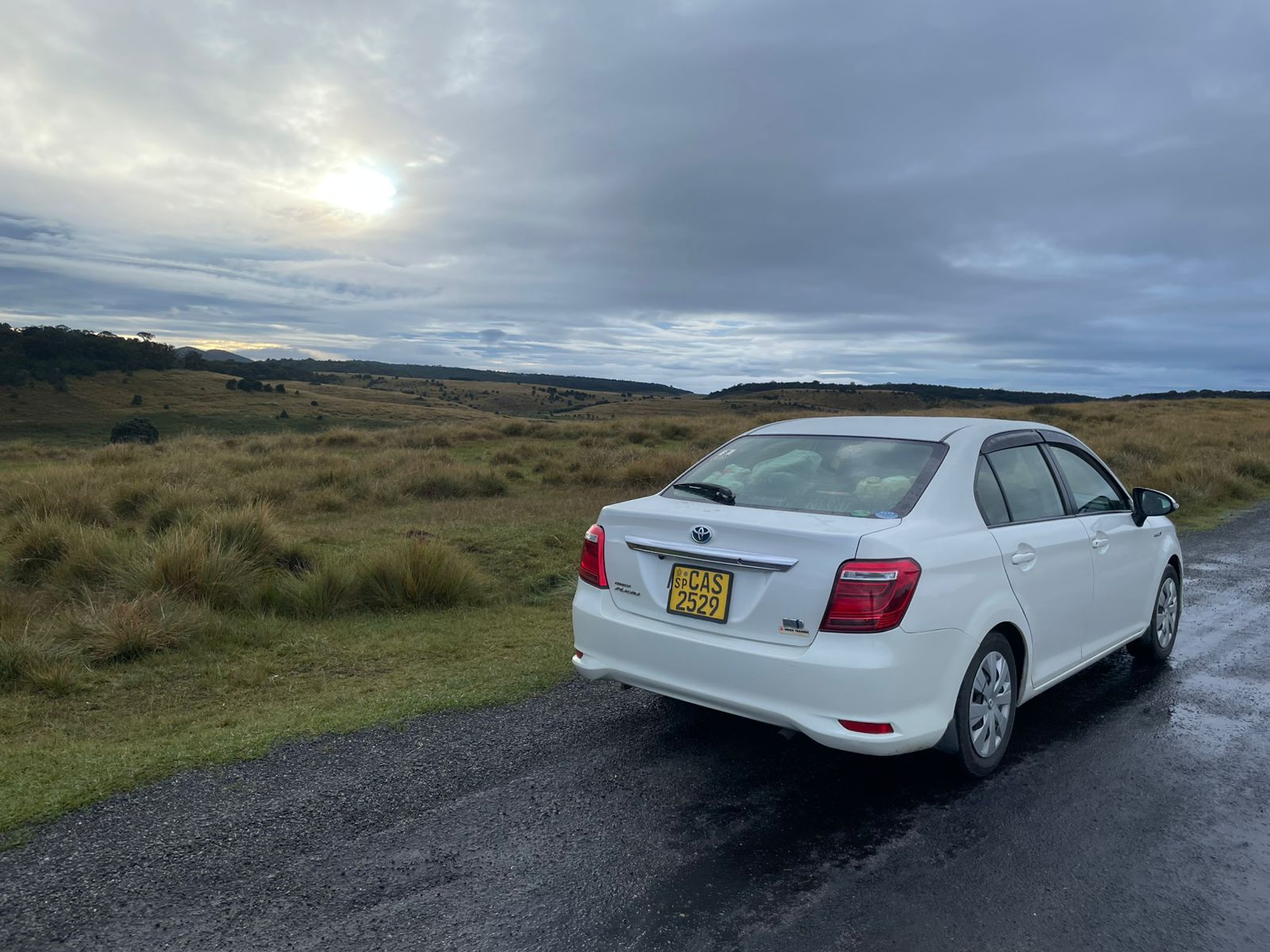 Sedans & Cars